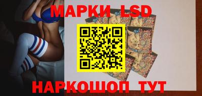 spice Владивосток