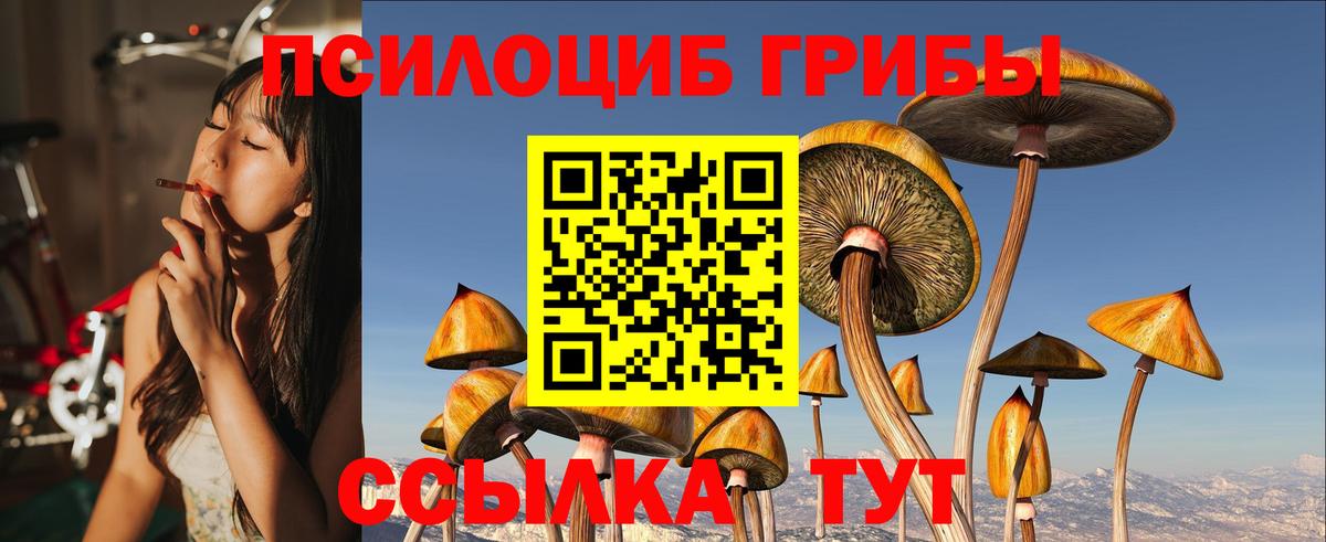 Галлюциногенные грибы Magic Shrooms  Вход с VPN  Богданович 